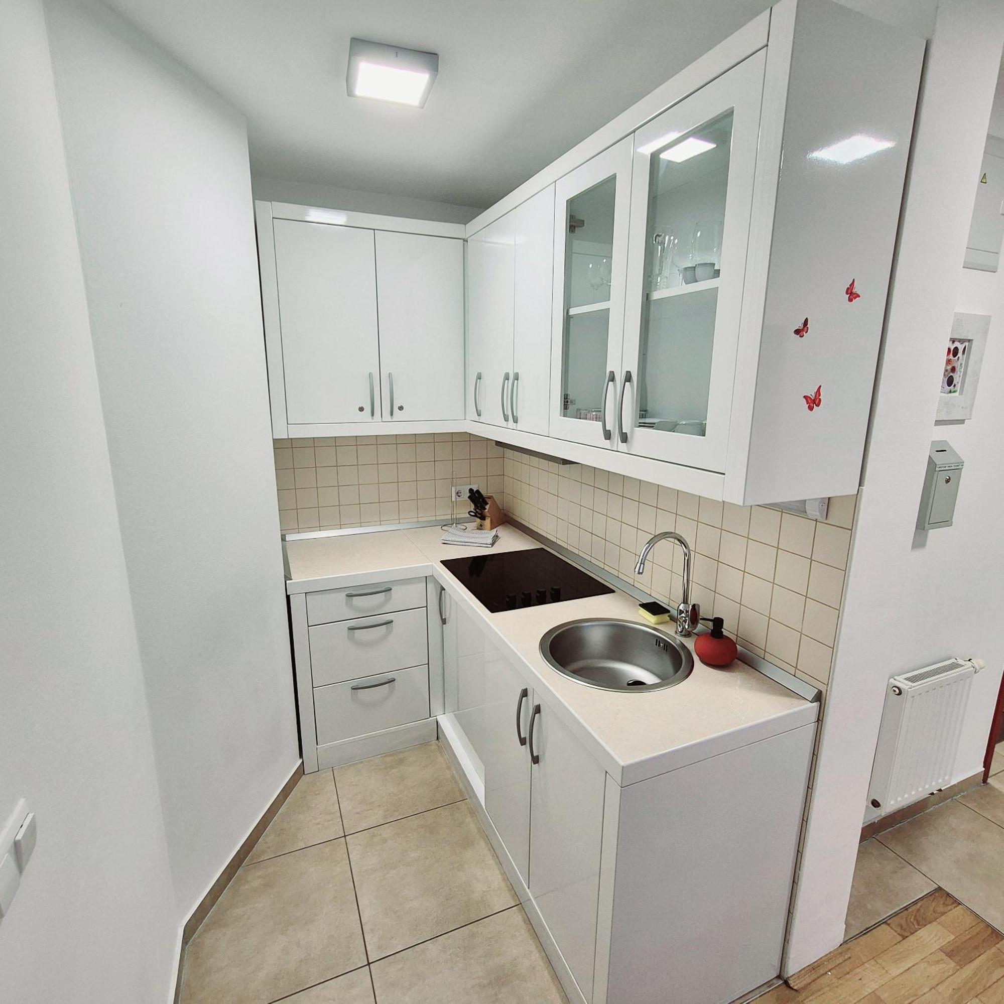 Apartmaji Panonia "The Big Space" & "The Cozy Space" Моравске-Топлице Экстерьер фото